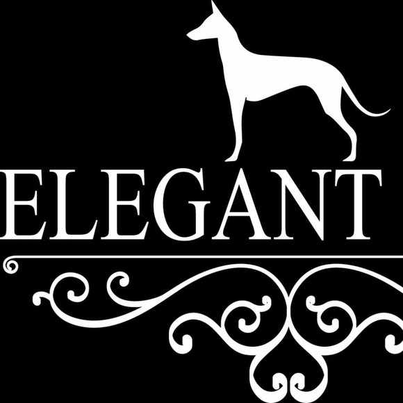 elegantbox